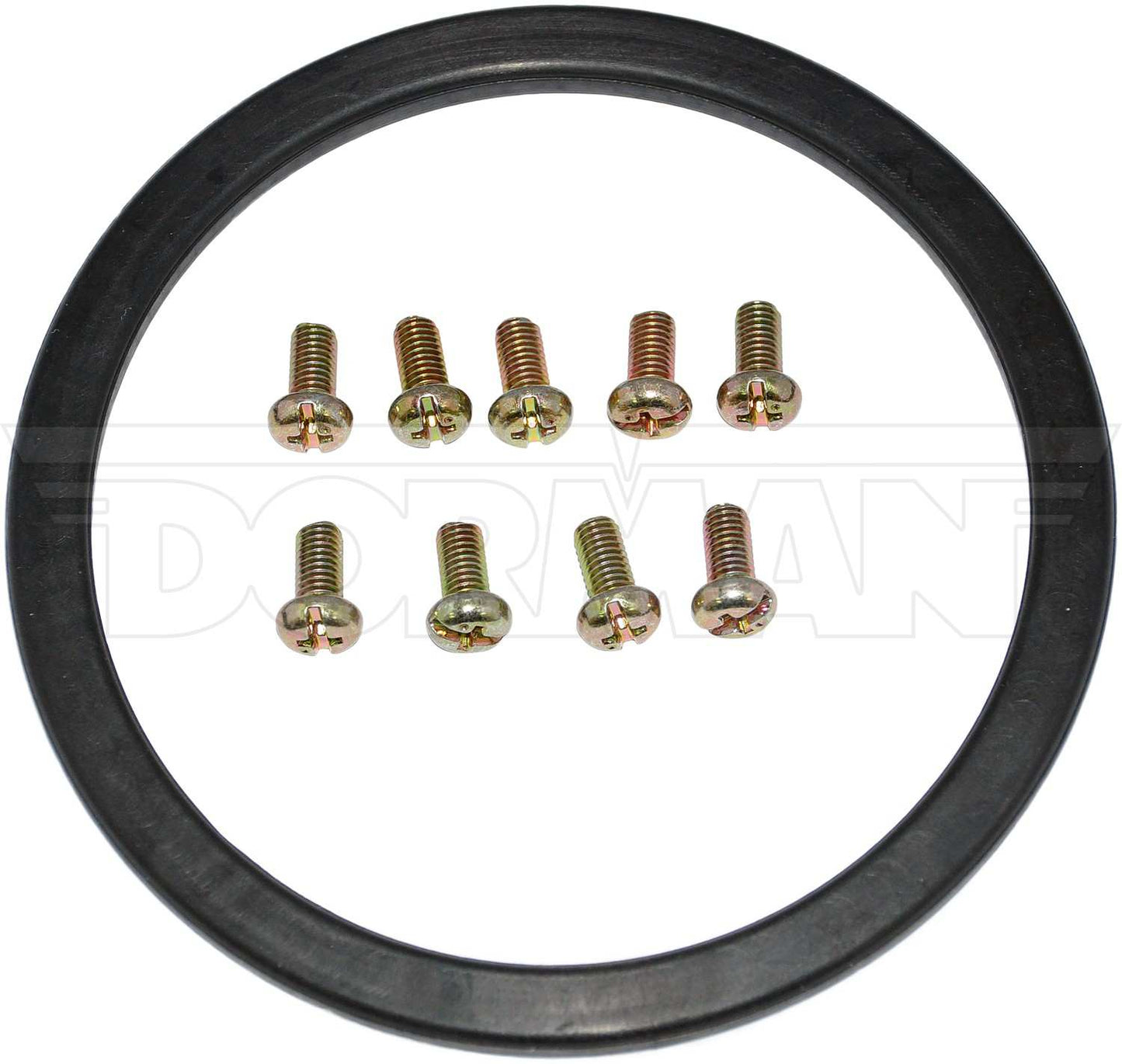 Dorman OE Solutions Fuel Tank with Lock Ring and Seal for 1998-2006 Lexus LX470 and Toyota Land Cruiser 576-749