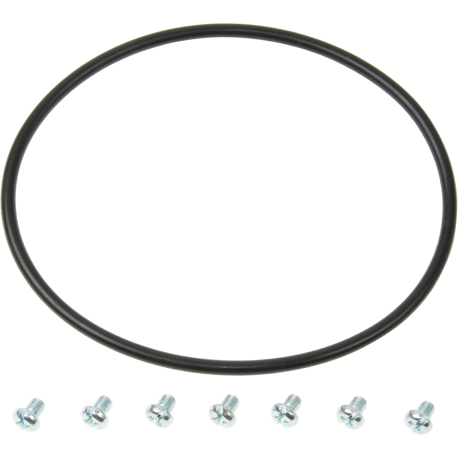 Dorman Fuel Tank Lock Ring