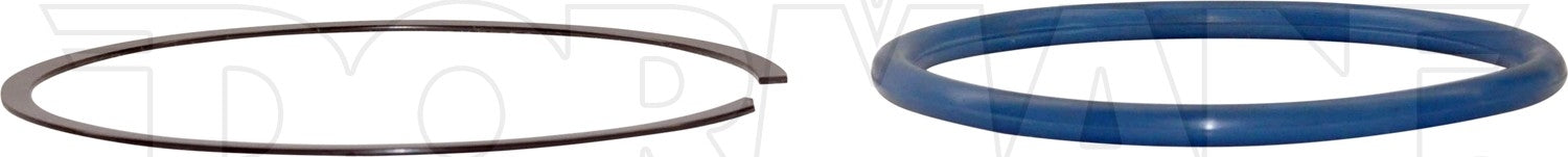 Dorman Fuel Tank Lock Rings