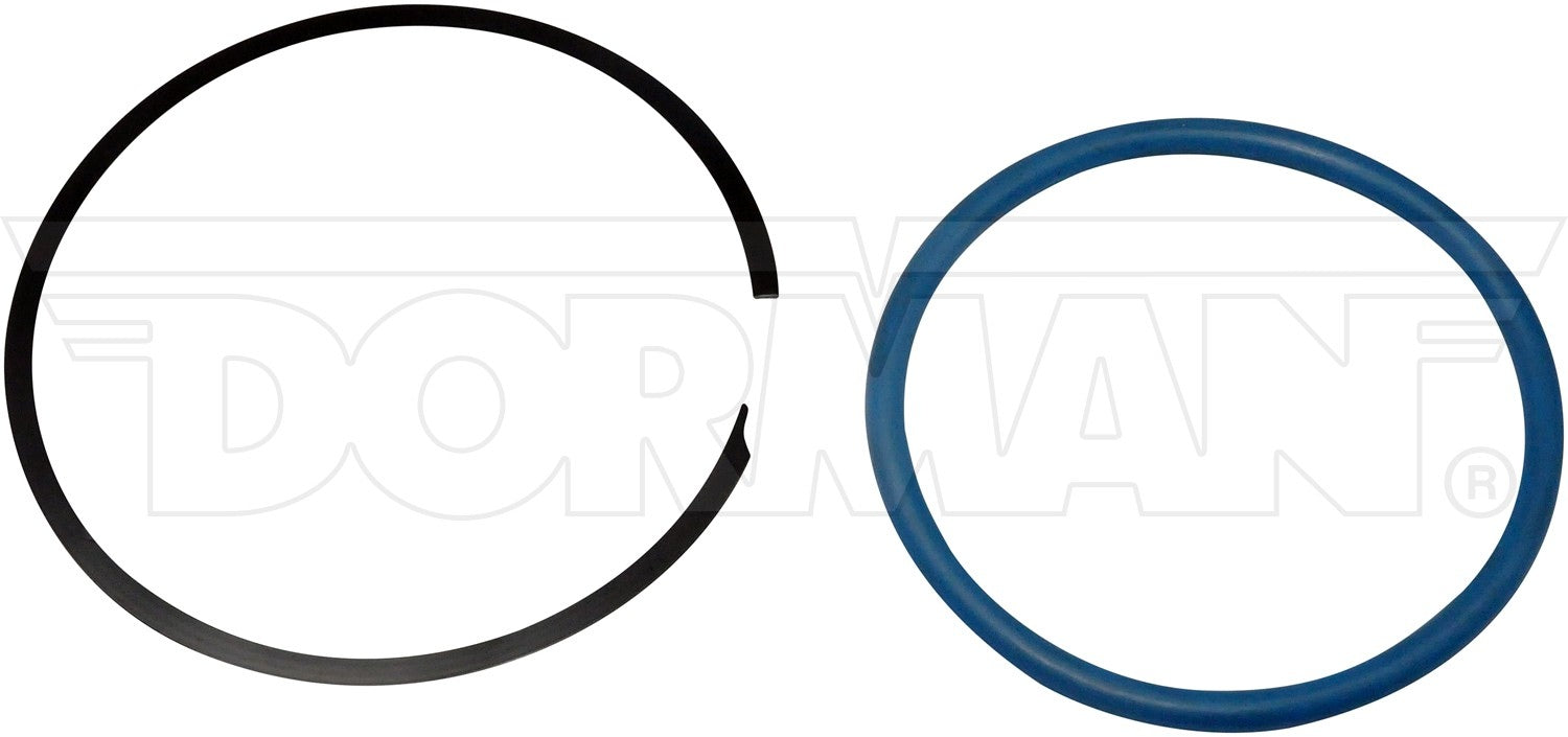 Dorman Fuel Tank Lock Rings
