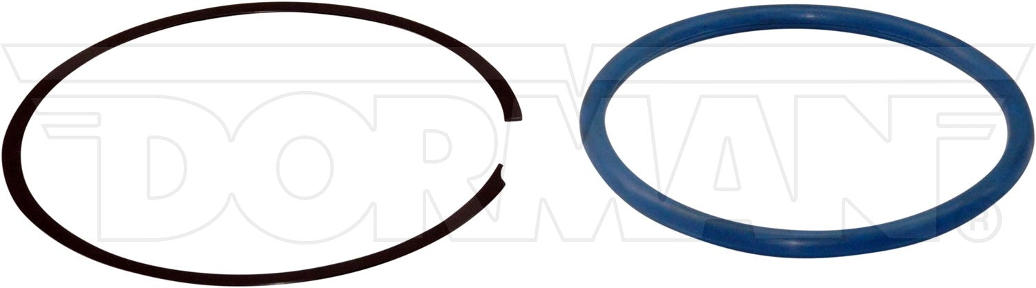 Dorman Fuel Tank Lock Rings