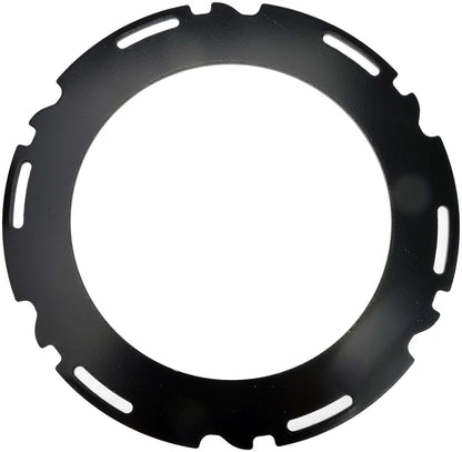 Dorman - OE Solutions FUEL PUMP LOCK RING 579-203