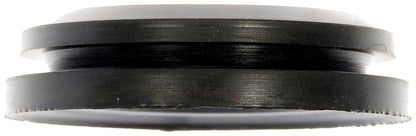 Dorman 579-220