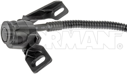 Dorman OE Solutions Park Assist Camera for 2008 Ford F-150 590-081