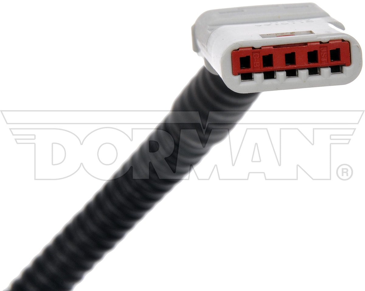 Dorman - OE Solutions Park Assist Camera - Rear 590-116
