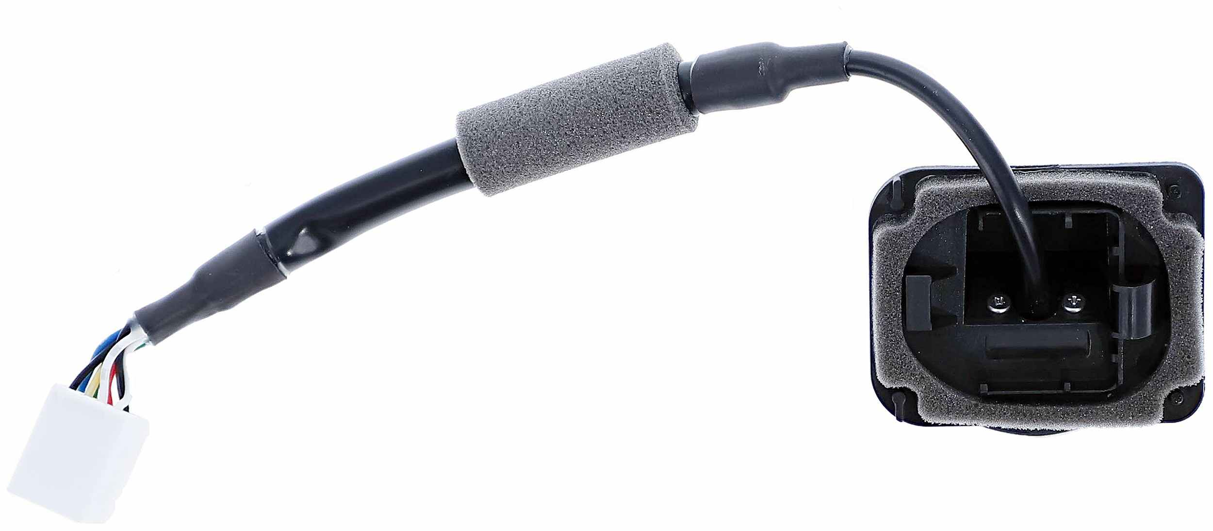 Dorman Parking Camera