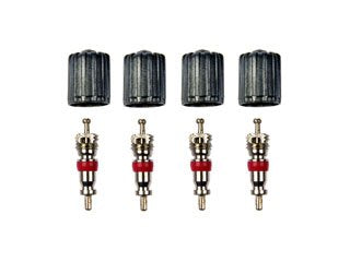 Dorman - OE Solutions Tire Pressure Monitoring System Valve Stem nickel-plated brass 609-126