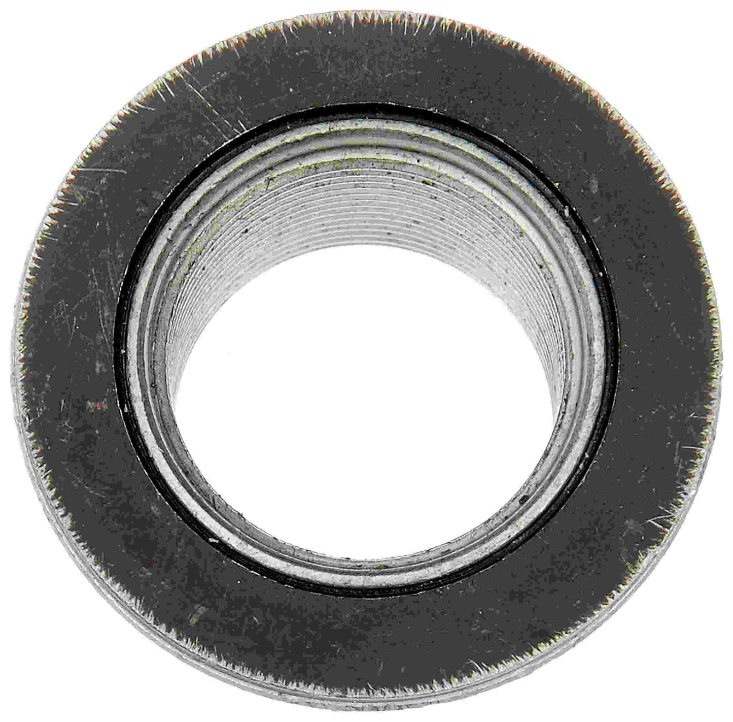 Dorman 615-983