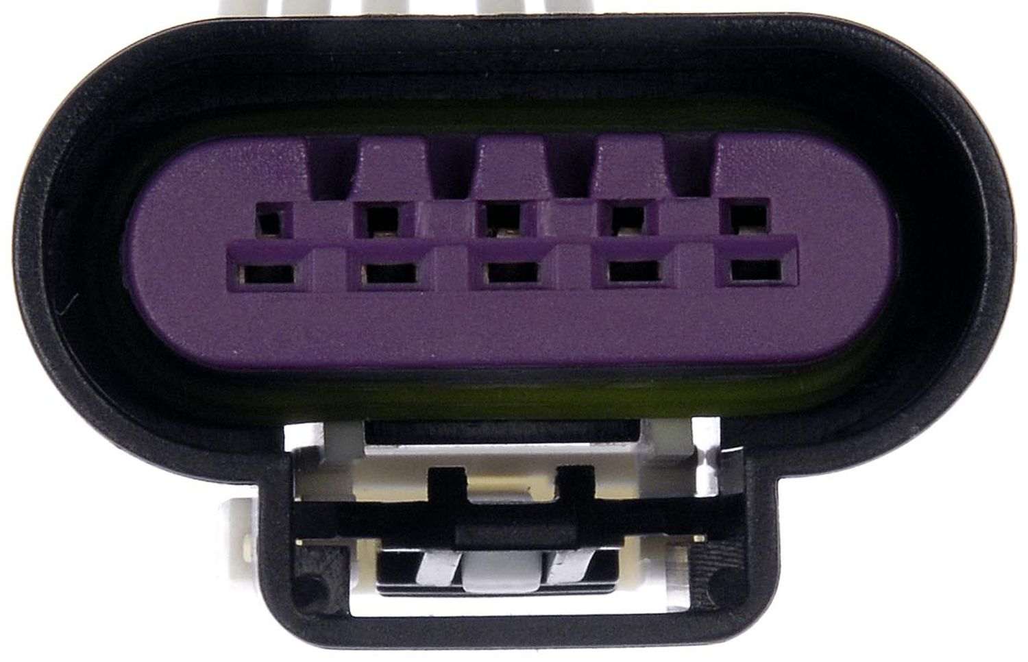 Dorman Pigtail Or Socket