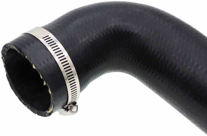 Dorman 667-350