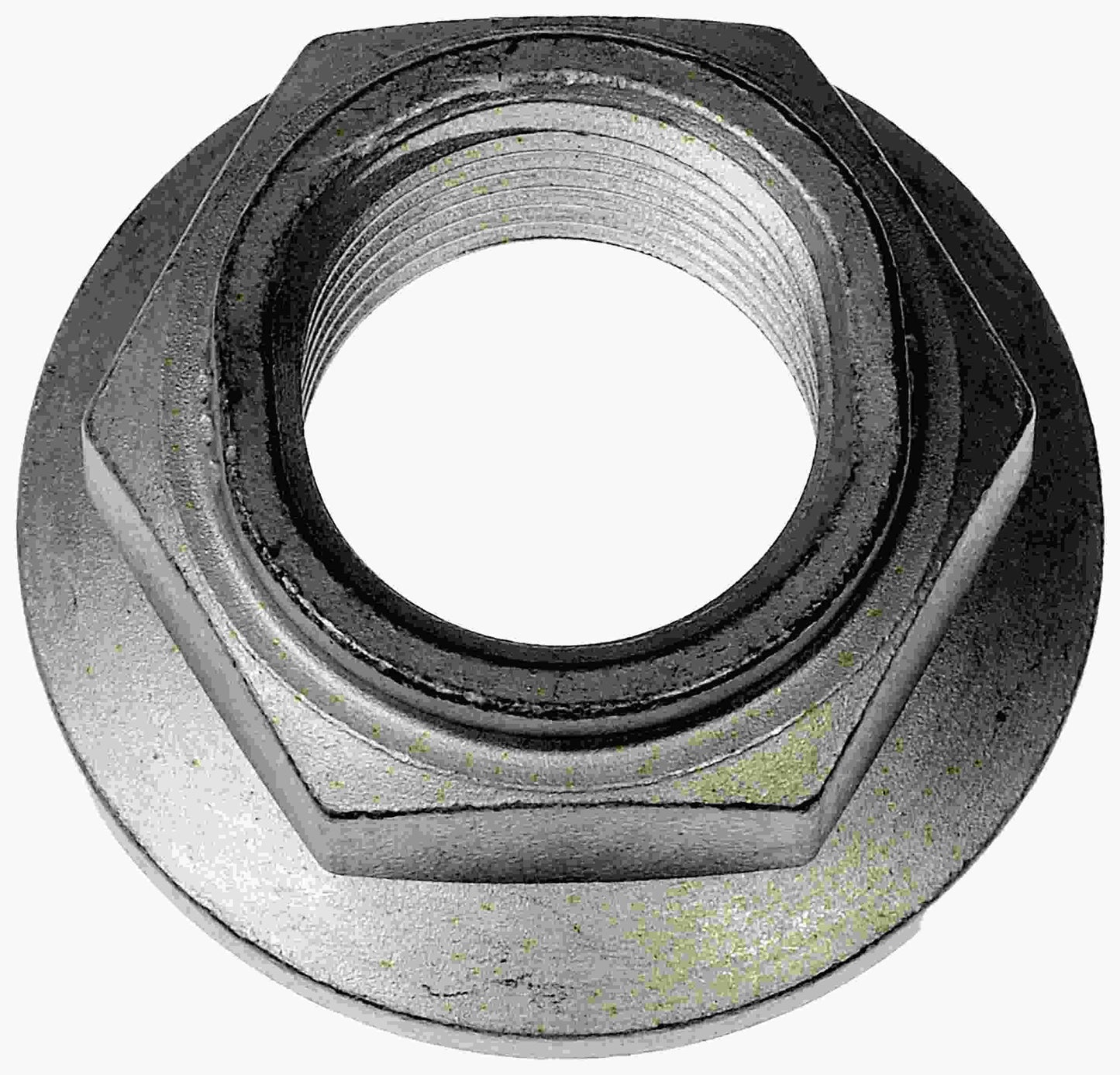 Dorman 686-448