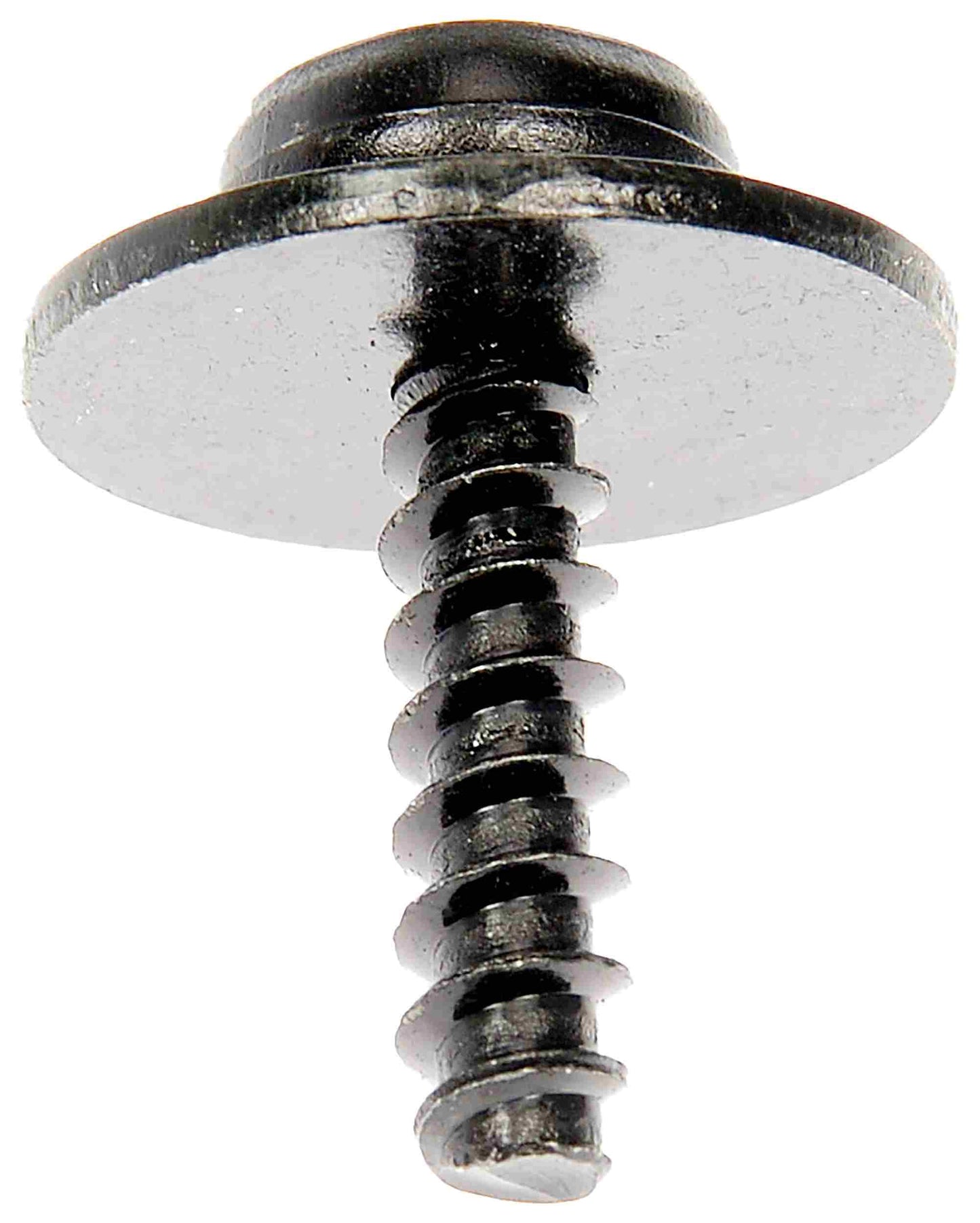 Dorman SPLASH SHIELD SCREWS 700-043