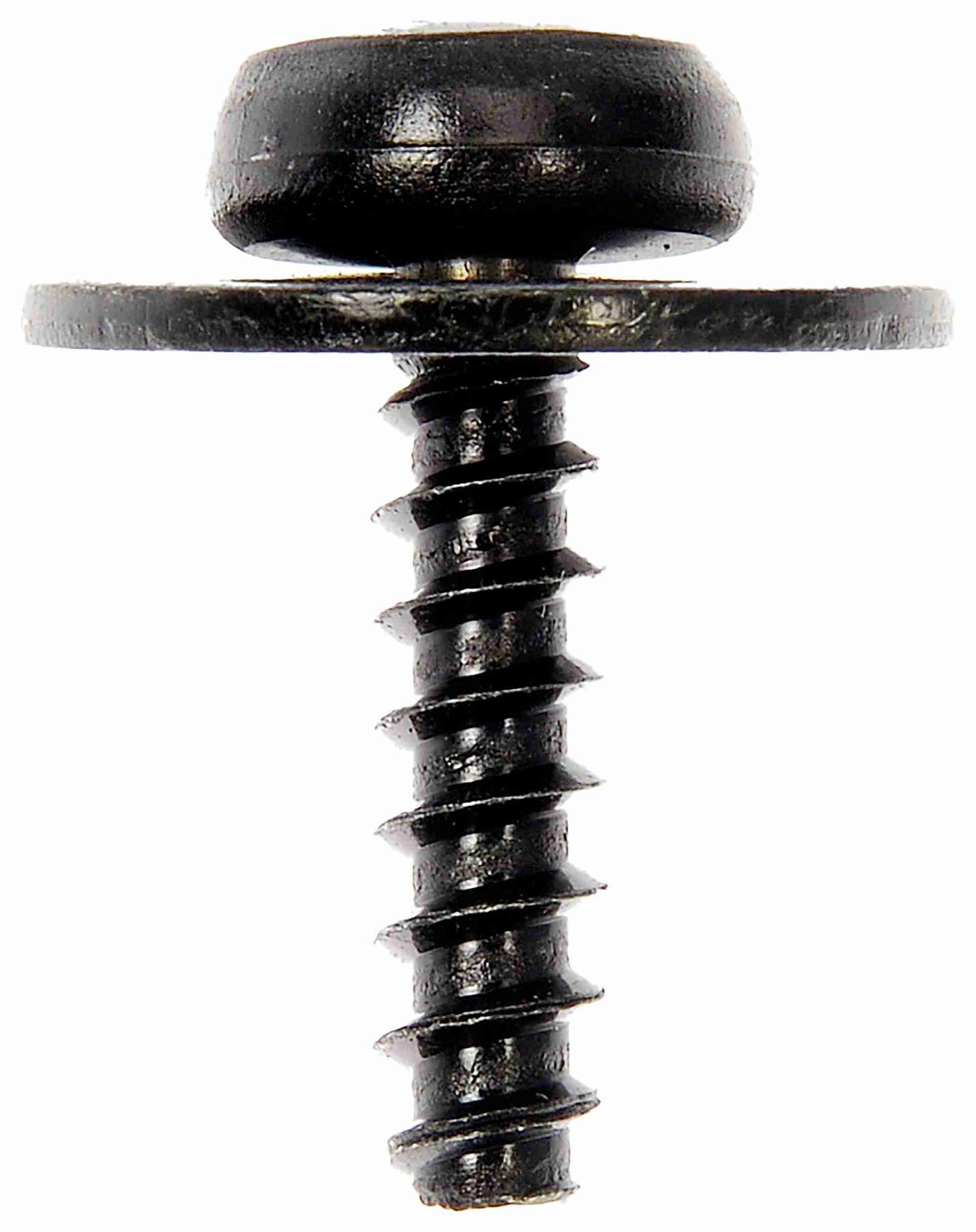 Dorman SPLASH SHIELD SCREWS 700-043