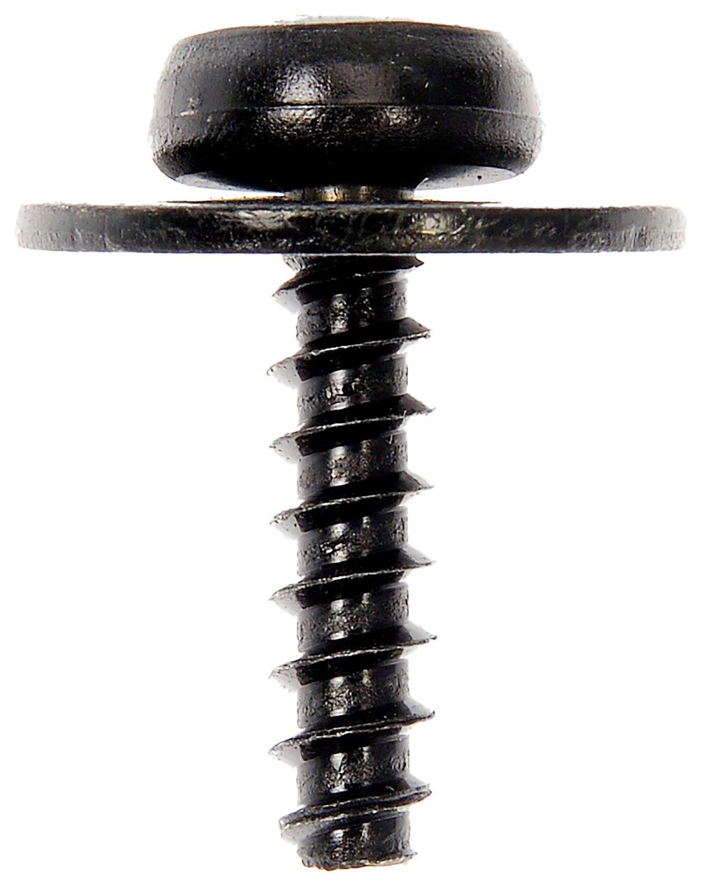 Dorman SPLASH SHIELD SCREWS 700-043