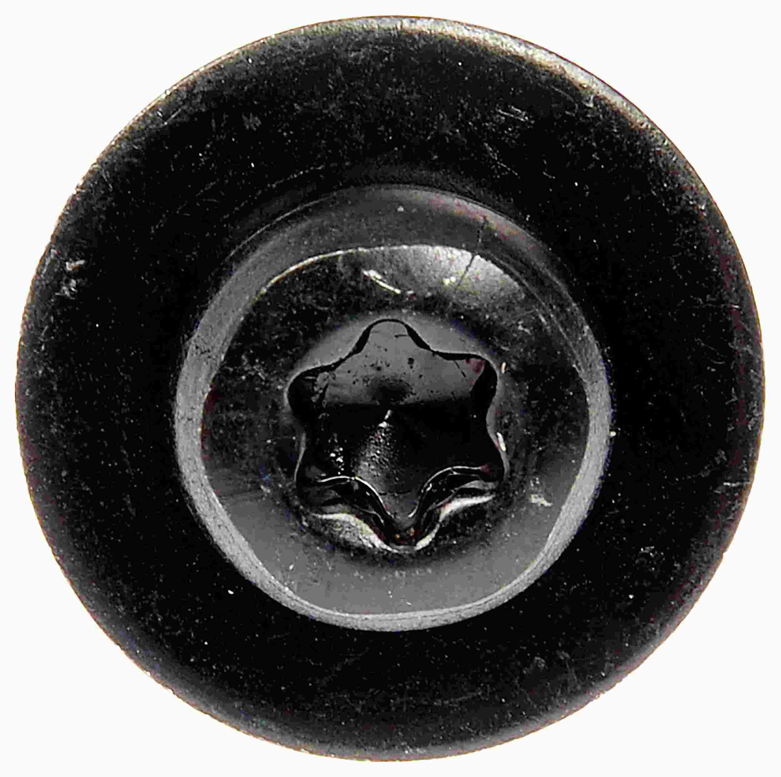 Dorman SPLASH SHIELD SCREWS 700-043