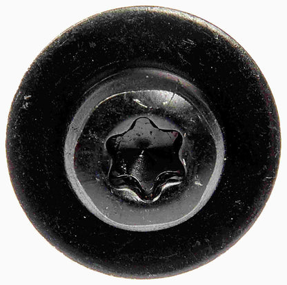 Dorman SPLASH SHIELD SCREWS 700-043