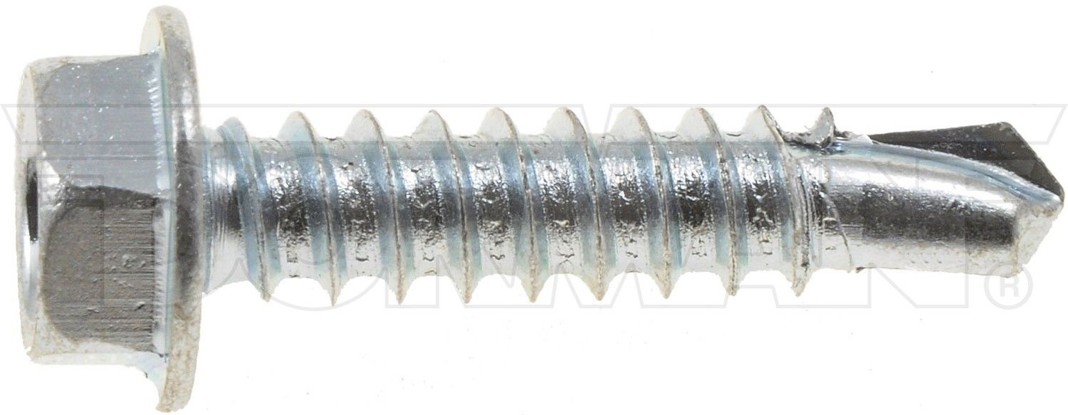 Dorman - Autograde Screw 700-203