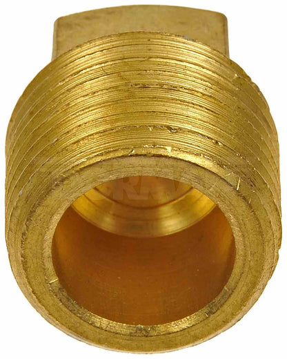 Dorman Pipe Plug 1/2 In. MNPT with Square Head 785-073D