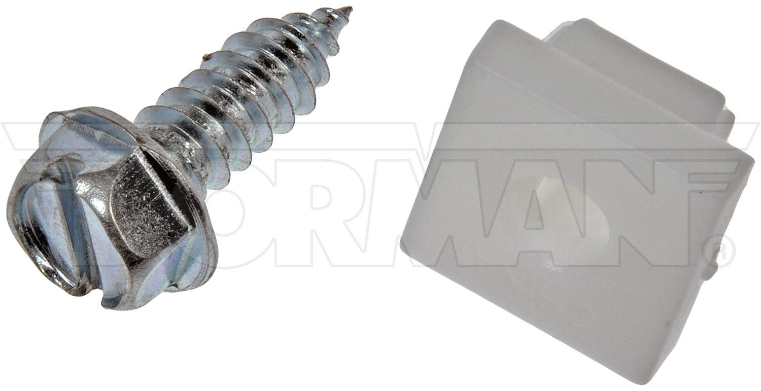 Dorman License Plate Fastener Assortment