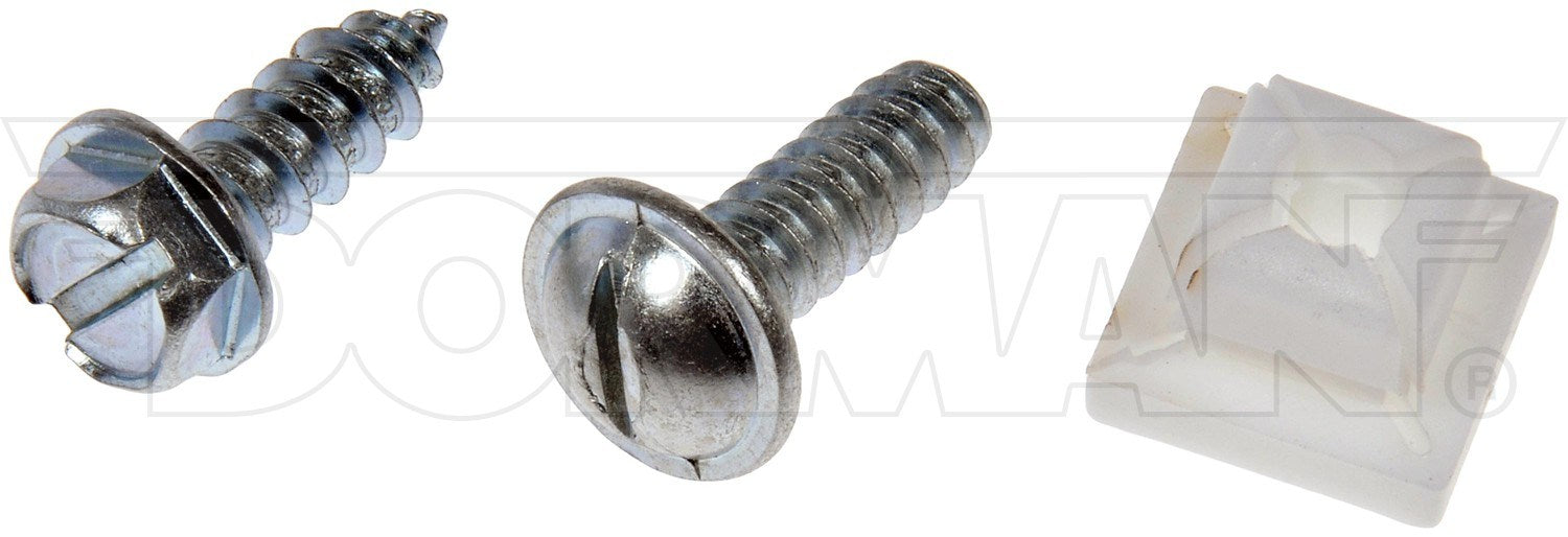 Dorman License Plate Fasteners - 1/4 In. X 3/4 In.