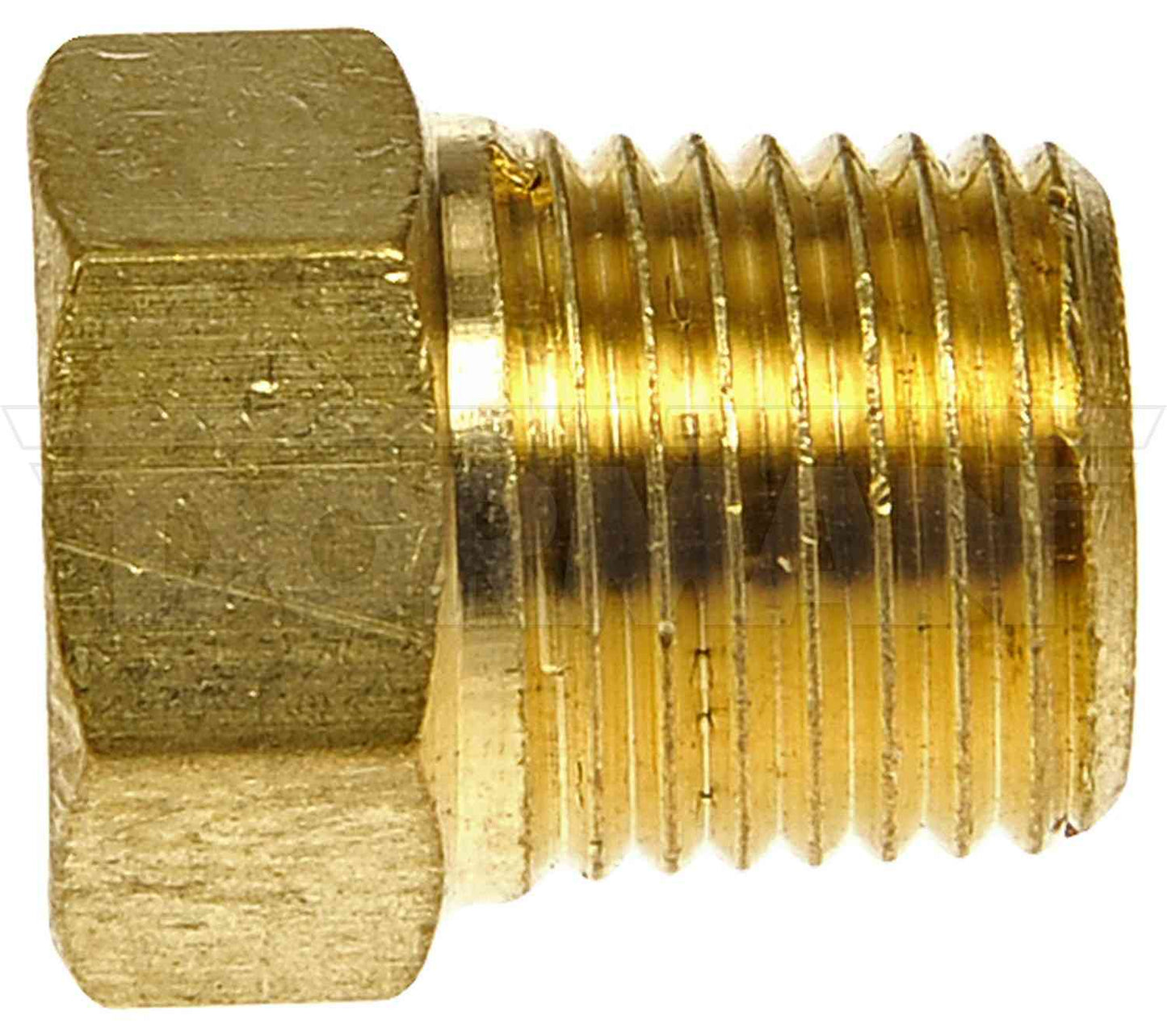 Dorman Pipe Fitting Brass Pipe Plug Hex Head 1/8 In. MNPT