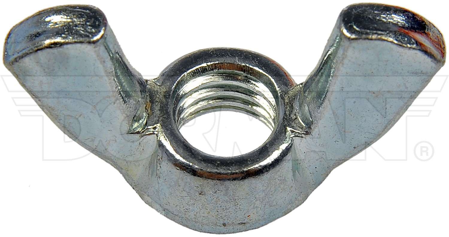 Dorman - Autograde Wingnut 878-508