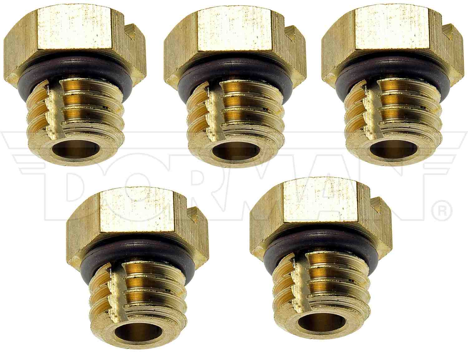 Dorman Diesel Fuel Filter Bleeder Screw - Brass