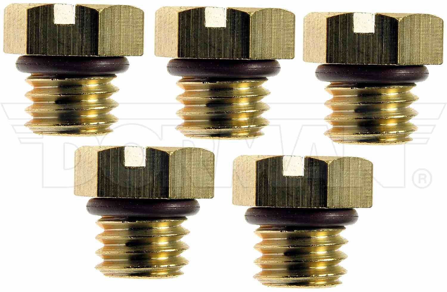 Dorman Diesel Fuel Filter Bleeder Screw - Brass