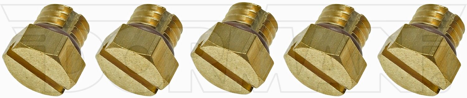 Dorman Diesel Fuel Filter Bleeder Screw - Brass