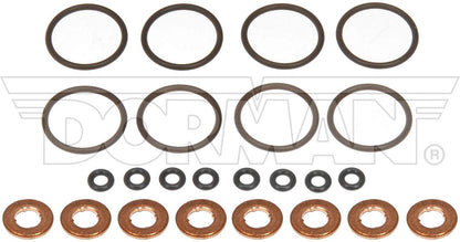 Dorman - OE Solutions Fuel Injector O-Ring Kit for 2019-2021 Ford 904-275