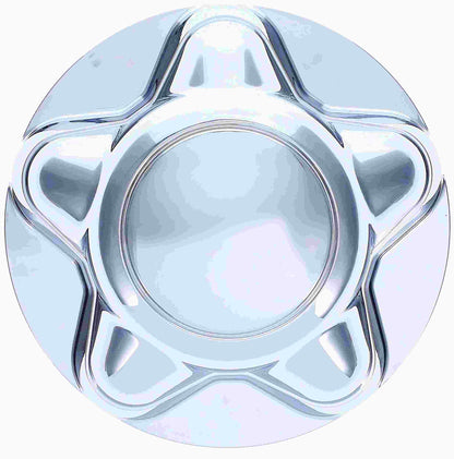Dorman - OE Solutions Wheel Cap Wheel Center Hub Cap for 2000-97 Ford Expedition Ford F-150 Ford Lobo 2002-00 Lincoln Navigator 909-031