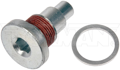 Dorman OE Solutions Engine Timing Chain Guide Bolt for 2017-2020 General Motors Ecotec 917-954