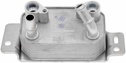 Dorman 918-491