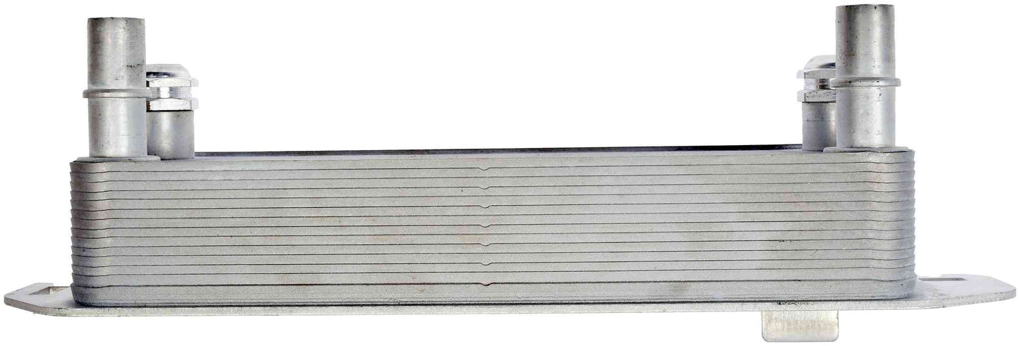 Dorman 918-599