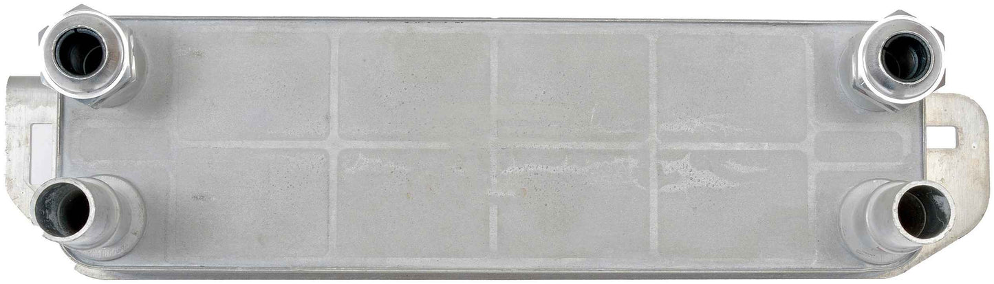 Dorman 918-599