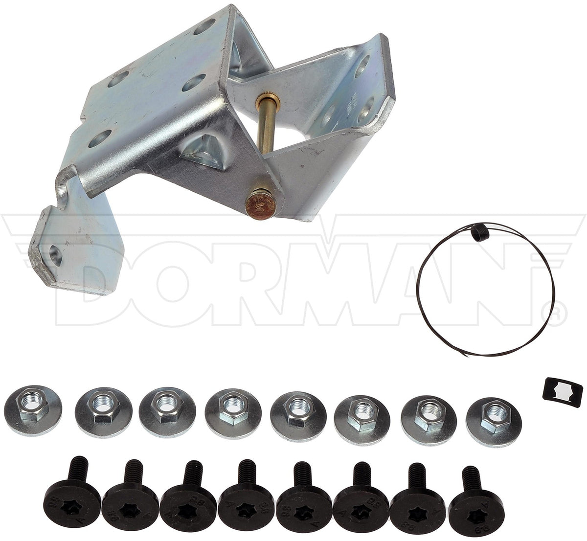 Dorman - OE Solutions Door Hinge Assembly Front Lower Left for 1999 Cadillac 2002-88 Chevrolet 2002-88 GMC 924-103