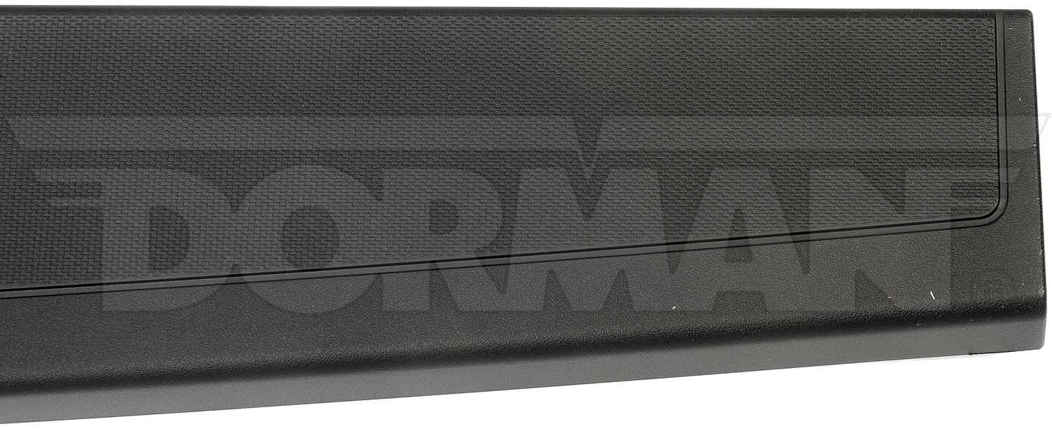 Dorman - OE Solutions TAILGATE MOLDING 925-604