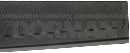 Dorman - OE Solutions TAILGATE MOLDING 925-604