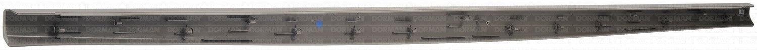 Dorman - OE Solutions TAILGATE MOLDING 925-607