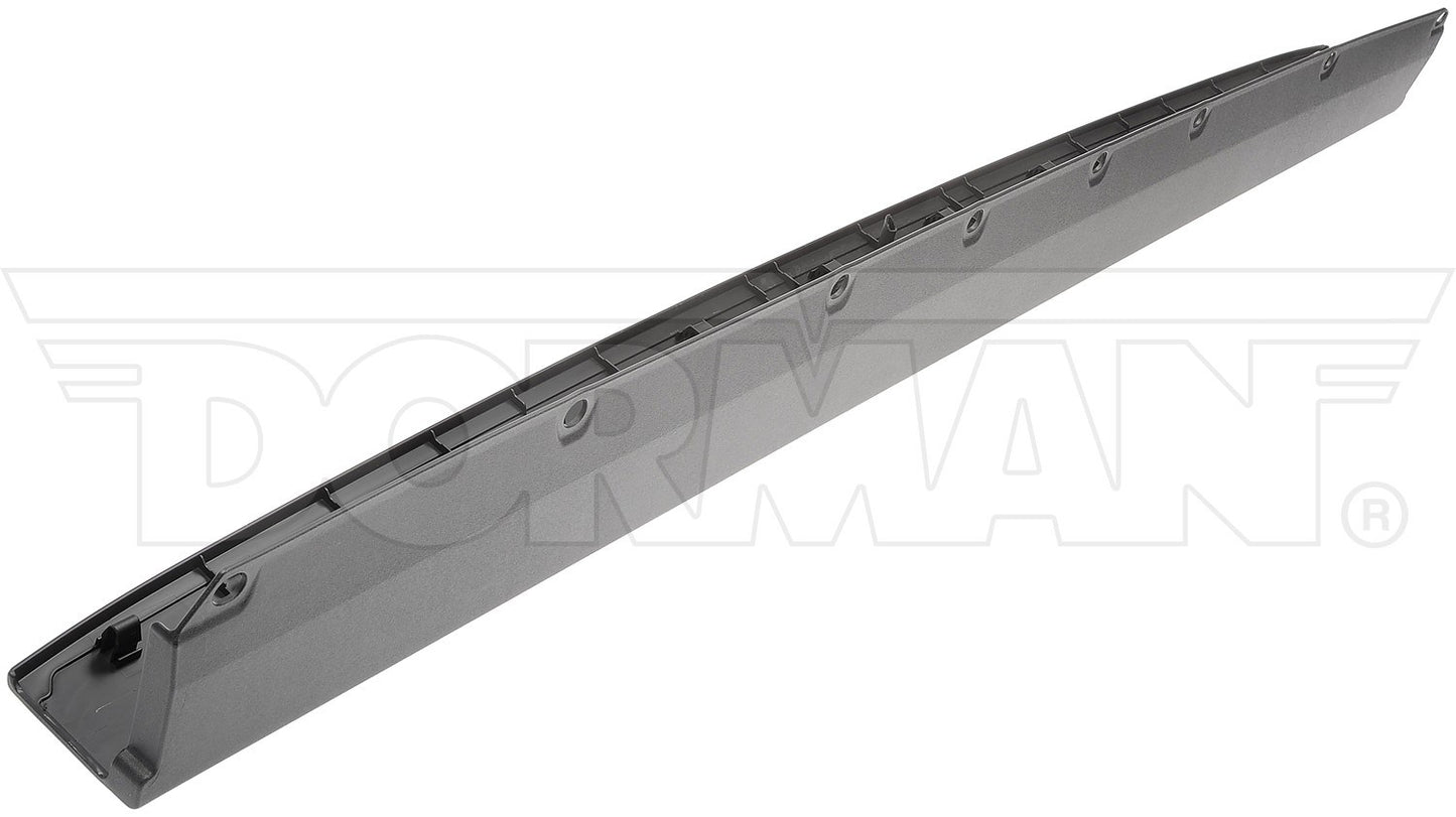 Dorman - OE Solutions TAILGATE MOLDING 925-624