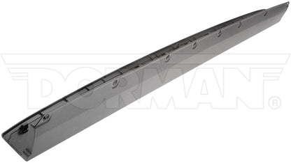 Dorman - OE Solutions TAILGATE MOLDING 925-624