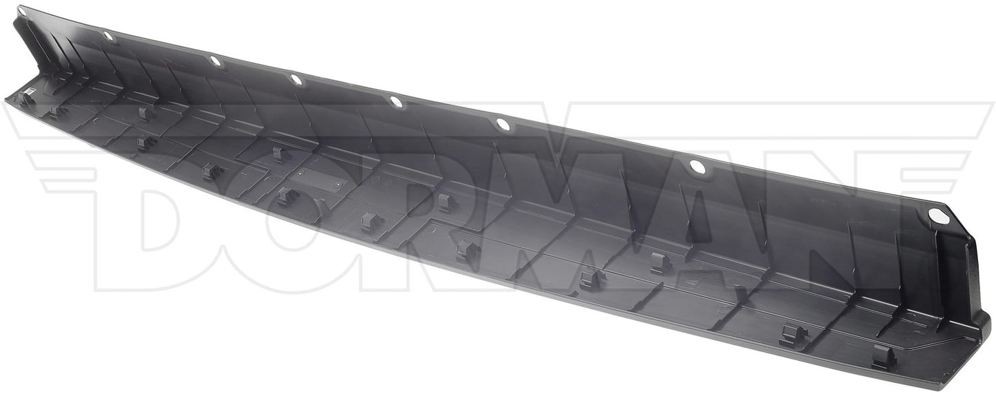 Dorman - OE Solutions TAILGATE MOLDING 925-624