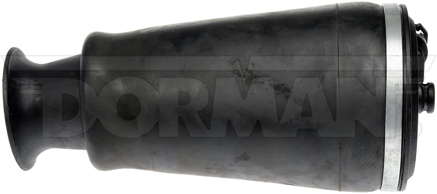 Dorman Air Spring