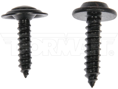 Dorman Trim Screw Assortment Black 961-021D