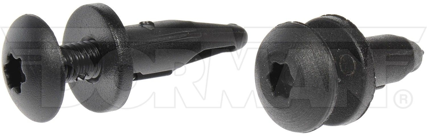 Dorman Nylon Rivet Assortment 961-040D