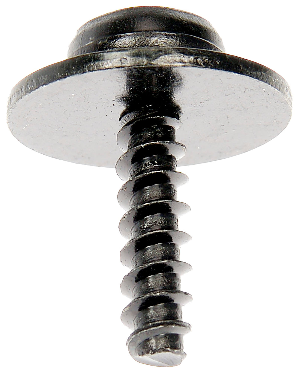 Dorman SPLASH SHIELD SCREWS 961-043D