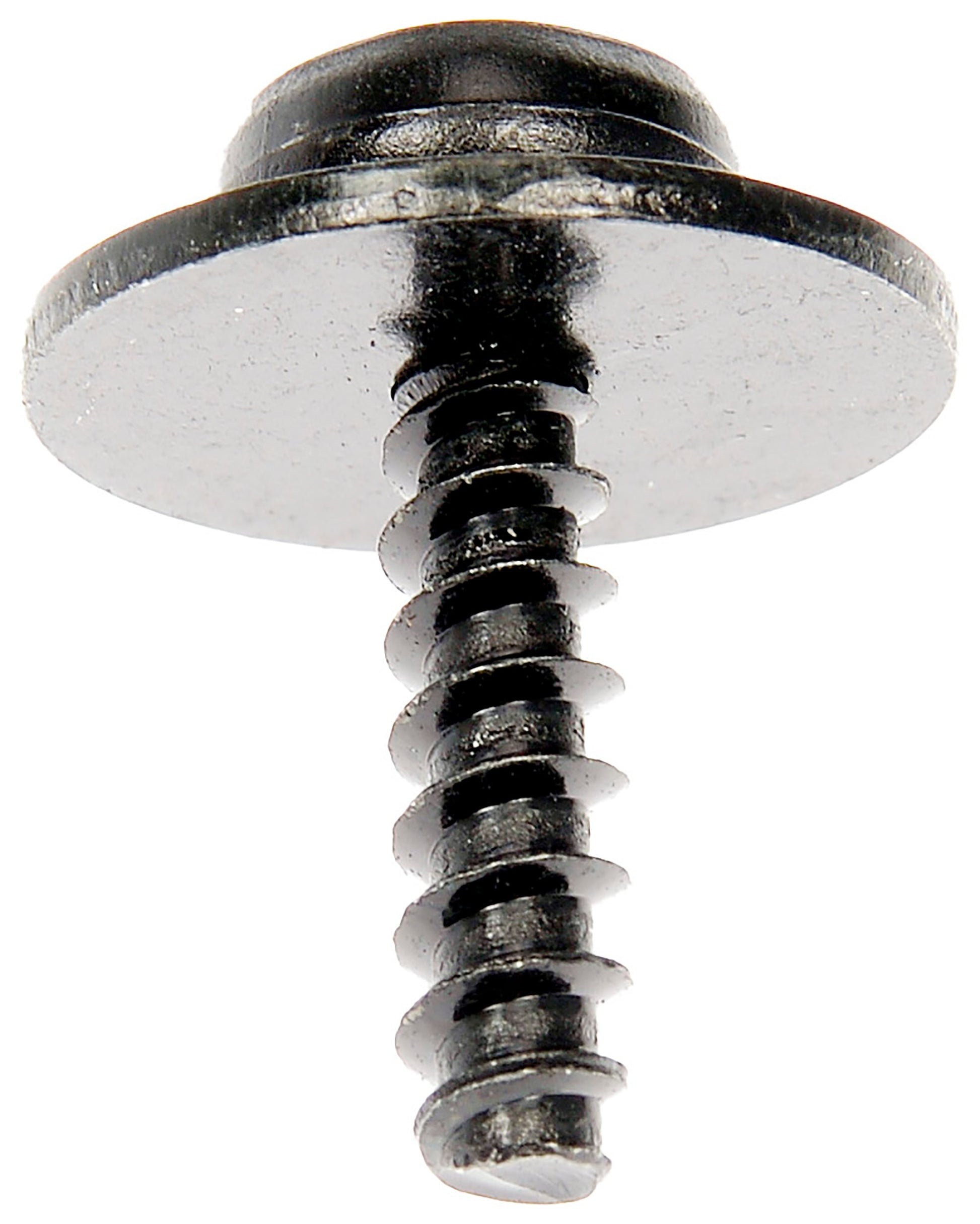 Dorman SPLASH SHIELD SCREWS 961-043D