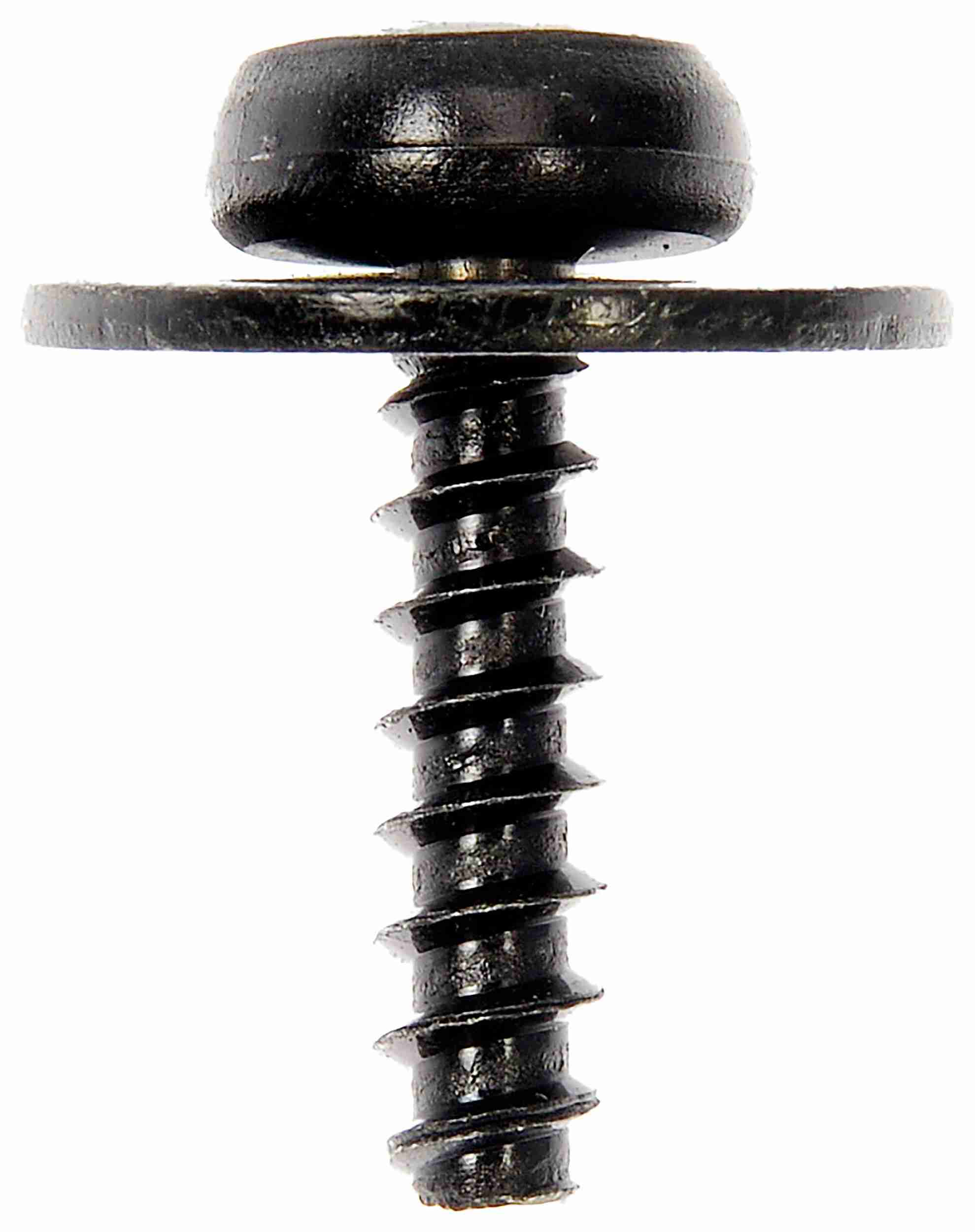 Dorman SPLASH SHIELD SCREWS 961-043D