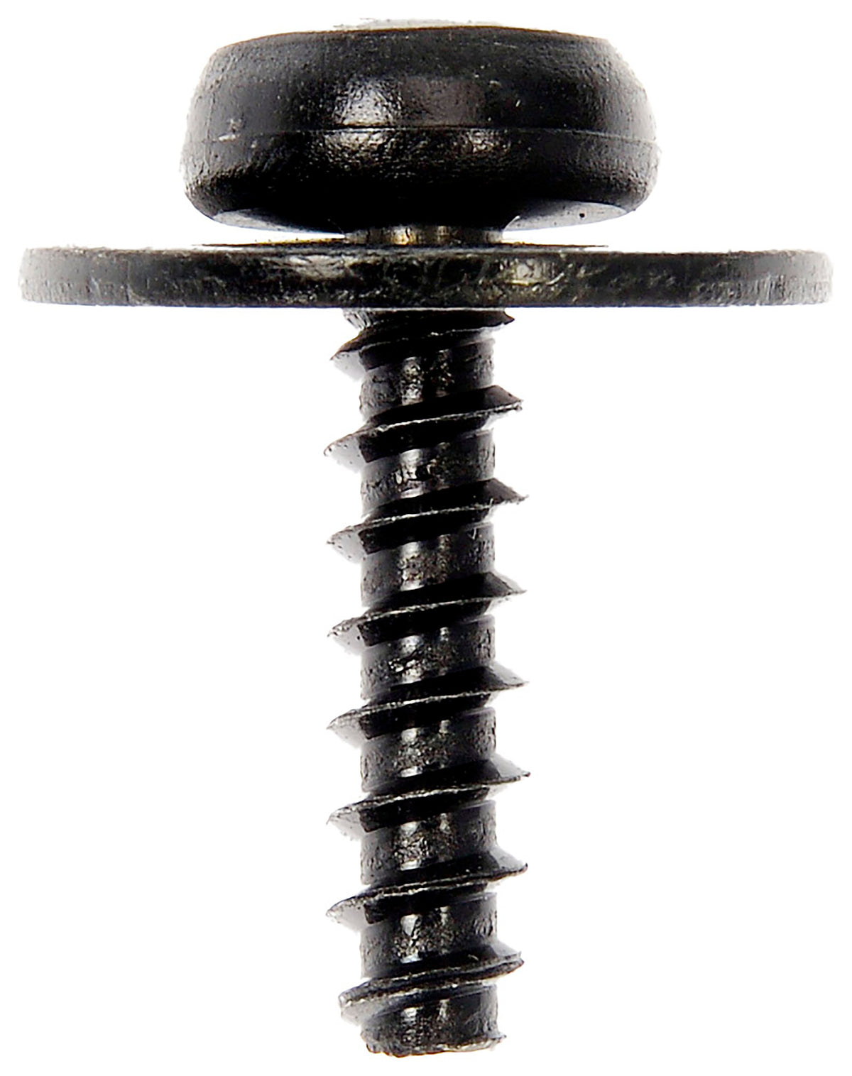 Dorman SPLASH SHIELD SCREWS 961-043D