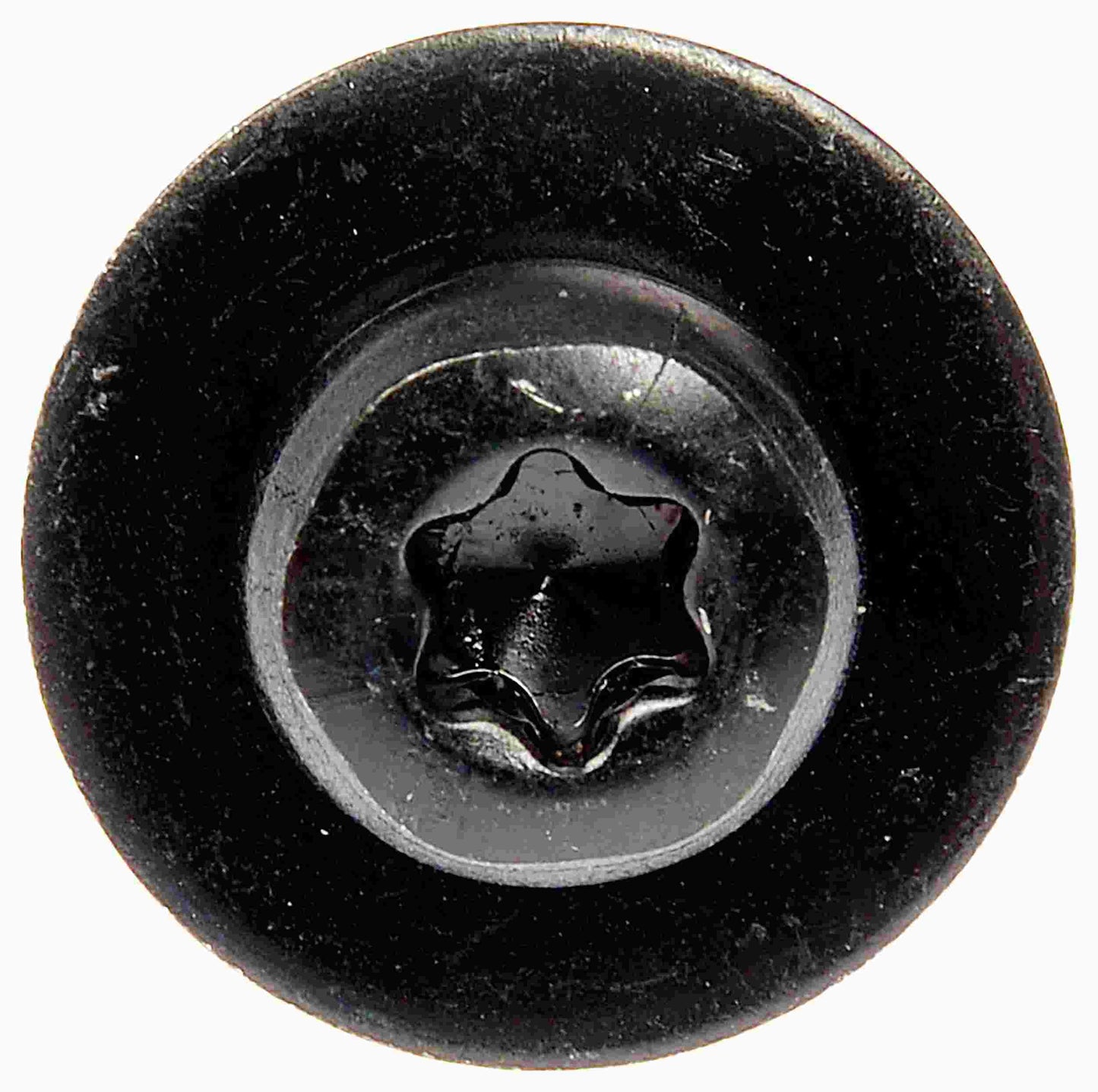 Dorman SPLASH SHIELD SCREWS 961-043D